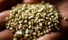 Nummer Sieben: Einst galt Buchweizen als Arme-Leute-Essen. Dabei kann er einen beträchtlichen Nährwert aufweisen. Seine Stärken: Er ist reich an Eisen, Kalium, Phosphor, Magnesium, Kieselsäure und Vtiamin E. Außerdem sorgt er für einen gesunden Schlaf. Foto: ddp