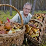 So werden Sie zum erfolgreichen Sammler (Foto)
