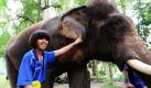 Tiere sind die besseren Menschen. Ihnen ist egal, ob jemand schwarz oder weiß, gesund oder krank ist. Das nutzt das Thai Elephant Centre in Pak Chong und will mit Tiertherapien die motorischen Fähigkeiten verbessern. Für die kleinen Patienten - wie hier für die blinde Schülerin Phetpailin Laksanapol - ist die Therapie ein großer Spaß. Foto: dpa