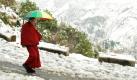 Ein tibetanischer Mönch stapft mit Schirm durch Schnee: Zum ersten Mal nach vier Jahren hat es in der von Indien und Pakistan beanspruchten Region wieder Schnee gegeben.
 Foto: dpa