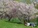 Frühling (Foto)