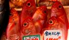 Fische liegen in der Auslage eines Verkaufsstandes auf dem Tsukiji-Fischmarkt im Zentrum von Tokio. Der Betreiber des von Erdbeben und Tsunami beschädigten Atomkraftwerks in Fukushima hat damit begonnen, 11.500 Tonnen radioaktives Wasser in den Pazifischen Ozean zu leiten. Damit will Tepco Platz für die Speicherung von stärker verstrahltem Wasser schaffen. Foto: dpa