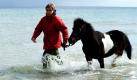 Shetlandpony August und Frauchen Susanne Schmidt laufen bei einer Werbeaktion für das Sealife-Center am Timmendorfer Strand durch das Wasser der Ostsee. Das Pony hat in abgewandelten Disziplinen Schwimmen, Tauchen und Springen sein Seepferdchen- Abzeichen gemacht. Mit der Aktion sollte für das Schwimmabzeichen geworben werden. Foto: dpa