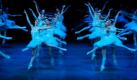 Ballerinas vom Staatsballett aus Georgia proben ihre Aufführung von Schwanensee in Taipei, Taiwan. Schwanensee gehört zu den schwierigsten Stücken des klassischen Balletts und wird von dem amerikanischen Staatsballett in Taiwan zum ersten Mal aufgeführt.  Foto: dapd