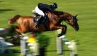 Der deutsche Springreiter Thomas Weinberg überwindet mit seinem Pferd Dorian Red während des Reitturniers CHIO inAachen spektakulär ein Hindernis. Das Weltfest des Pferdesports findet vom 8.-17. Juli 2011 statt. Foto: dpa