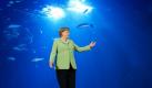 Bundeskanzlerin Angela Merkel bittet die Teilnehmern des Ostseeratsgipfels zum Familienfoto im Ozeaneum Stralsund. Foto: Jens Büttner Foto: dpa