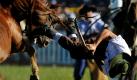Ein Cowboy aus Uruguay zeigt sein Können während einer Rodeomeisterschaft. Jedes Jahr zur Heiligen Woche finden Rodeospiele in dem südamerikanischen Land statt.  Foto: ap