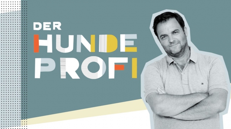 Der Hundeprofi bei VOX