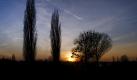 Immer wieder schön anzusehen: Sonnenuntergang hinter Bäumen in den Elbwiesen in Pirna/Sachsen. Foto: Arno Burgi Foto: dpa