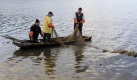 Kühle Temperaturen, ordentlicher Herbst - für Fischer das Signal, ihre Netze durch die Seen zu ziehen. Es wird abgefischt, so auch am Horstsee in Wermsdorf, wo eine Ausbeute von 20 Tonnen Karpfen und 500 Kilogramm Hecht erwartet wird. Foto: ddp