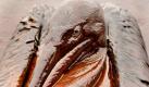 A Brown Pelican is mired in oil on the beach at East Grand Terre Island along the Louisiana coast after being drenched in oil Thursday, June 3, 2010. (AP Photo/Charlie Riedel)


Einen braunen Pelikan steckt in Öl auf dem Strand am East Grand Terre Island, USA. Foto: ap