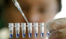 ARCHIV - Ein Chemiker der Firma Biolux demonstriert am 21. April 2009 in einem Labor in Stuttgart die Vorgehensweise bei einer DNA-Analyse und befuellt fuer eine Untersuchung ein Reaktionsgefaess mit einer Erbgutprobe. Der Bundestag beraet am Freitag, 24. April 2009, das Gesetz zur Gendiagnostik. (AP Photo/Thomas Kienzle) --- FILE - A chemist fills a DNA sample in a test tube in a laboratory in Stuttgart, Germany, Tuesday, April 21, 2009. (AP Photo/Thomas Kienzle) Foto: ap