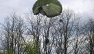 Soldat im Baum: Eine Windböe hatte die Bundeswehr-Fallschirmspringer in ein Waldstück abgetrieben. Foto: BeckerBredel Foto: dpa