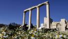Touristen besichtigen die Hadriansbibliothek auf dem Monastiraki-Platz in Athen: Auch hier zieht der Frühling ein. Foto: ap