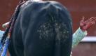 Blutige Tradition: Der spanische Torero Lopez Simon beim Kampf in Valencia. Foto: Kai Foersterling Foto: dpa