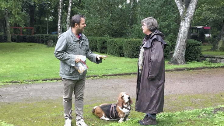 Vox Now Hundeprofi Vox Now Hundeprofi