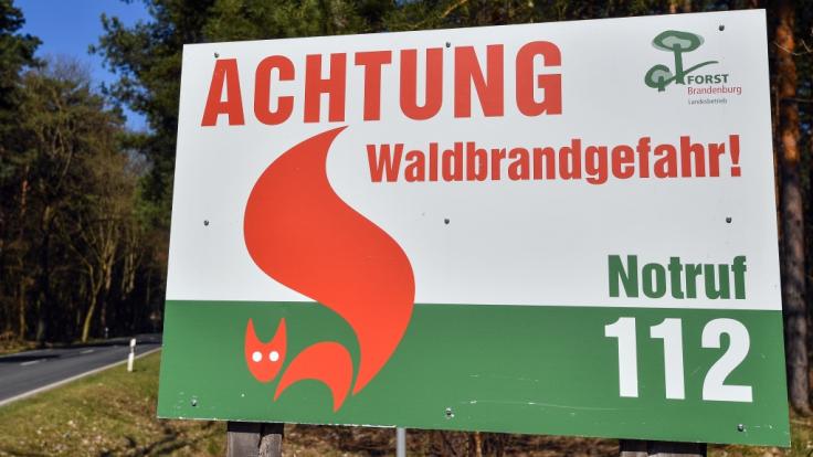 In Deutschland steigt die Gefahr von Waldbränden.