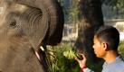 Bitte hier hinein: Ein Elefantentrainer verabreicht seinem Schützling im nepalesischen Sauraha kleine Päckchen mit besonderen Leckerbissen. Foto: Narendra Shreshta Foto: dpa
