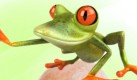 Froschwitz (Foto)
