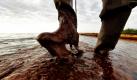Ein Helfer kämpft sich am Strand von Plaquemines Parish im US-Bundesstaat Louisiana durch das von Öl verschmutzte Wasser. Über sechs Wochen nach dem Untergang der Bohrinsel «Deepwater Horizon» breitet sich die Ölpest im Golf von Mexiko immer weiter aus.  Foto: ap