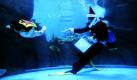 Ein als Weihnachtsmann verkleideter Taucher füttert eine Meeresschildkröte in einem Aquarium im chinesischen Hefei. Foto: ap
