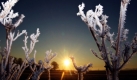Mit Raureif überzogen sind  bei Sonnenaufgang die Pflanzen an einem kleinen See bei Biessenhofen in Schwaben. Noch bestimmen frostige Temperaturen das Wetter im Südwesten. Für das Wochenende ist laut Meteorologen jedoch mit Temperaturen bis zu 16 Grad zu rechnen.  Foto: dpa