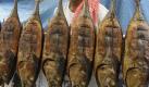 Ein Muslim bietet auf den Philippinen geräucherten Thunfisch zum Kauf an. Die muslimische Welt feiert das Ende des Fastenmonats Ramadan. Foto: ap