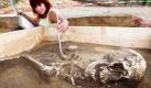 Ein Skelett wird von einer Mitarbeiterin des Landesamtes für Denkmalpflege und Archäologie Sachsen-Anhalts auf einem Grabungsfeld in Köthen (Landkreis Anhalt-Bitterfeld) vermessen. Sowohl die jetzt gefundenen Skelettteile als auch andere Gegenstände der über 7000 Jahre alten slawischen Siedlung werden nun von Forschern untersucht. Foto: dpa