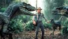 Mit den zum Leben wiedererweckten Dinosauriern setzte Jurassic Park  neue Maßstäbe im Bereich der Spezialeffekte und Computeranimation. Von 1993 bis 1998 war er der weltweit erfolgreichste Film. Die beiden Fortsetzungen Vergessene Welt und Jurassic Park III, in dem wieder Sam Neill als Paläontole Dr. Alan Grant den Urzeitviechern über den Weg läuft, konnten diesen Erfolg nicht wiederholen. Foto: dpa