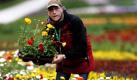 Blumen werden auf dem Gelände der Landesgartenschau in Aschersleben gepflanzt. Die dritte Gartenschau des Landes Sachsen-Anhalt unter dem Motto Natur findet Stadt wird vom 24. April bis 10. Oktober veranstaltet. Foto: dpa