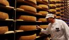 Toni Suppiger, Mitarbeiter in der Käsereifungshöhle Kaltbach bei Luzern in der Schweiz, prüft in Kaltbach Käse der Sorte Le Gruyere AOC für doe Schweizer Firma Emmi. Bis zu 12 Monate lang bleiben die Käse bei einer konstanten Temperatur von 11 bis 12 Grad und einer relativen Luftfeuchtigkeit von 96-98 Prozent in der Höhle, die Platz für etwa 156.000 Laiber Käse bietet. Ein Laib wiegt bis zu 100 Kilogramm. Foto: dapd