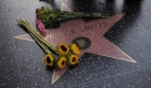 Mit Blumen an seinem Stern auf dem Hollywood Walk of Fame in Los Angeles bringen Fans ihre Trauer um Patrick Swayze zum Ausdruck. Der Schauspieler, der mit Dirty Dancing und Ghost bekannt wurde, starb im Alter von 57 Jahren. Foto: ap