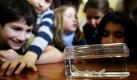 Einen frisch geschlüpften kleingefleckten Katzenhai bestaunen Kinder der Grundschule Kopernikusstraße in Köln. Auf den Namen Lary wurde das am Samstag geborene Hai-Baby getauft, das ins Sea Life Königswinter zurückkehrt. Die Kinder hatten vorher die Eientwicklung beobachten und dokumentieren können.  Foto: dpa