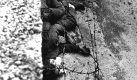 Opfer der Berliner Mauer - Peter Fechter (Foto)
