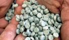 Insgesamt sei der Drogenkonsum in Deutschland rückläufig, sagte Dyckmans, als sie am 11. November ihren Bericht vorstellte. Sorge bereitet ihr eine neue Ecstasy-Pille, die wegen ihrer verzögerten Wirkung die Gefahr der Überdosierung birgt. Immer mehr psychoaktive Pillen überschwemmen derzeit den Markt. Foto: dpa