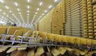 Parmesan-Panne: In Norditalien bebte die Erde - und den Parmesan hielt es nicht mehr an der Wand. Foto: Carlo Ferraro Foto: dpa
