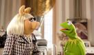 Schaffen es Kermit und Miss Piggy, eine letzte Show auf die Beine zu stellen? Foto: Wald Disney Studios