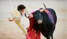 Sanfermines Pamplona stierkampf (Foto)