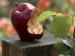 Trauer nach Steve Jobs' Tod (Foto)