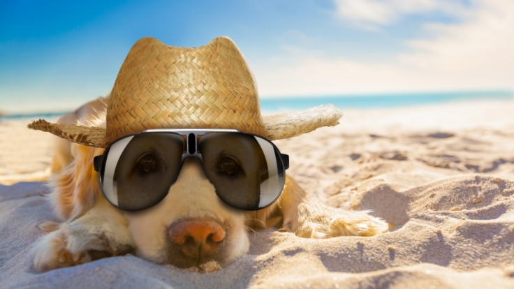 Der Hundertjährige Kalender verrät, wie das Wetter im Juli 2017 werden könnte.