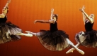 The Trocks, a New York based company of all male ballet dancers perform during a dress rehearsal at the Royal Theatre in Sydney, Australia, Tuesday, Nov. 10, 2009. The parody, Les Ballets Trockadero de Monte Carlo, comprises Swan Lake, Pas De Deux, La Trovatiara and Majismas with the full appointment of tutus and tiaras. (AP Photo/Rick Rycroft) Foto: ap