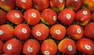 Äpfel mit dem Etikett Bio auf der Messe BioFach in Nürnberg. Die Leitmesse verzeichnete in diesem Jahr weniger Besucher. Foto: dpa