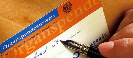 Minderjährige können über Organspende entscheiden (Foto)
