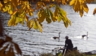 Ein Angler schaut am Sonntag am Ufer der Mosel in der Grenzregion Nennig (Deutschland) und Remich (Luxemburg) zu zwei Schwänen. Hoch Walli über Osteuropa und Tief Rolf über dem westlichen Mittelmeer führen weiterhin milde Luftmassen nach Deutschland. Auch zu Beginn der nächsten Woche bleibt es bei einem Mix aus Nebel, Wolken und Sonnenschein meist trocken. Foto: dapd