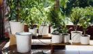 Funktioniert ohne Wasseranschluss: die Gardena-Urlaubsbewässerung. Foto: gardena
