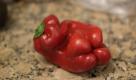 Gnubbel-Paprika: Ob diese Frucht schlecht geschlafen hat und deshalb so faltig ausschaut? Foto: flickr.com/randychiu