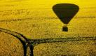 Der Schatten eines Ballons zeichnet sich auf einem blühenden Rapsfeld in Norddeutschland ab. Das abwechslungsreiche Wetter wird uns die kommenden Tage erhalten bleiben. Foto: ap