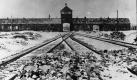 Die meisten Opfer kamen im Lagerteil Birkenau an und sahen als erstes dieses Einfahrtsgebäude. Oft hatten sie tagelang zu Hunderten in Viehwaggons gekauert. Manchmal wurde der ganze Transport direkt in die Gaskammern geschickt, meistens wurden aber nach Ankunft erst die arbeitsfähigen Häftlinge aussortiert. Foto: Wikipedia/ Bundesarchiv