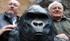 Zoo-Direktor Manfred Niekisch und Künstler Wolfgang Weber stehen im Zoo in Frankfurt am Main neben einer Bronzeskulptur zur Erinnerung an den beliebten Gorilla Matze. Matze war über 50 Jahre alt, als er im August 2008 verstarb.  Foto: dpa