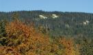 Vom Dreisessel auf dem Adalbert-Stifter-Steig hat man einen herrlichen Blick über die Blockhalden des Steinernen Meeres im Bayrischen Wald. Foto: Tourismusverband Ostbayern/Michael Koerner